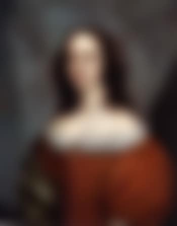 Portrait of lady wearing a orange silk dress (preview)
