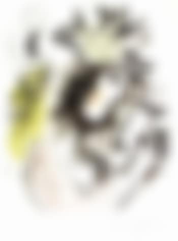Poetess (preview)