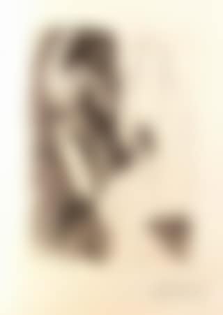 Femme nue devant une statue (preview)