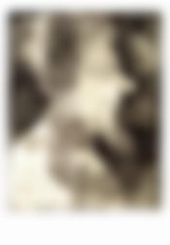 Der asthet (preview)