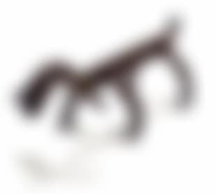 Dog (preview)