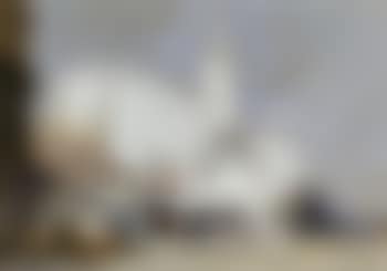El Souk, Tunis (preview)