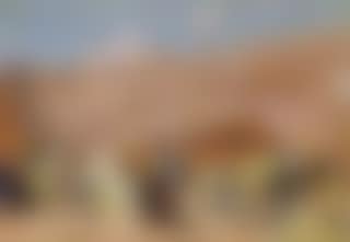 Le mur de Marrakech (preview)