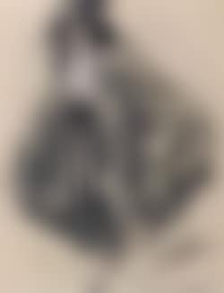 Lady in carnival costume (preview)