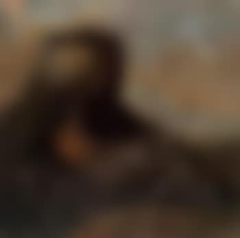 Pheasant in a landscape (preview)