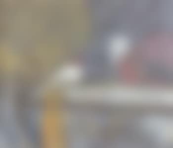 Woman in yellow (preview)
