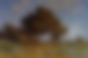 River landscape with house (preview)