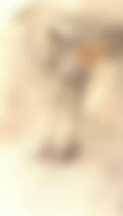 L'oiseau (preview)