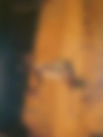 Landscape with Night heron (preview)