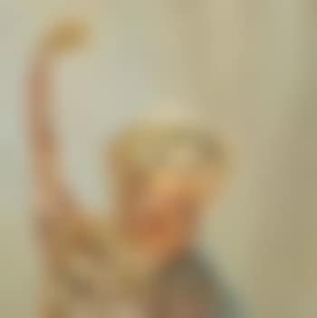African monkey (preview)