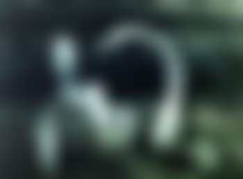 Leda and the swan (preview)