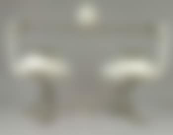 Autruches (preview)