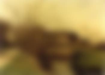 Farm in a river landscape (preview)