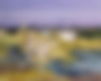 Chevaux en Camargue (preview)