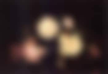 Yellow and pink roses (preview)