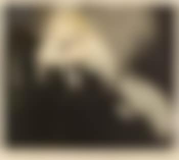 Waltz dream (preview)