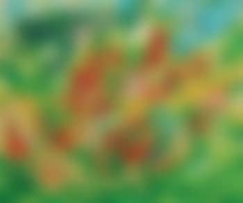 Townscape (preview)