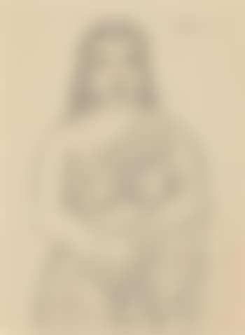 Woman in sari (preview)