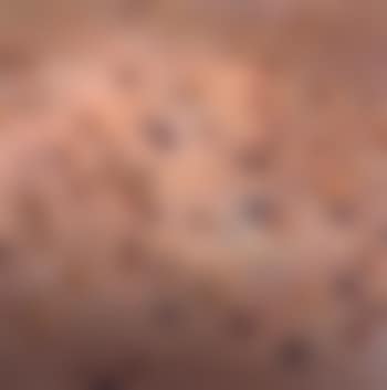 Landscape still life (preview)