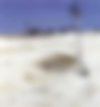 Waterhole with black crows (preview)