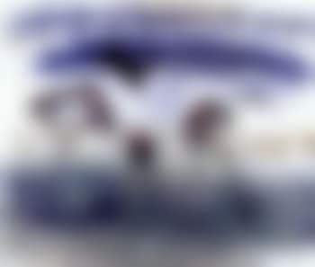 Landscape with crow (preview)