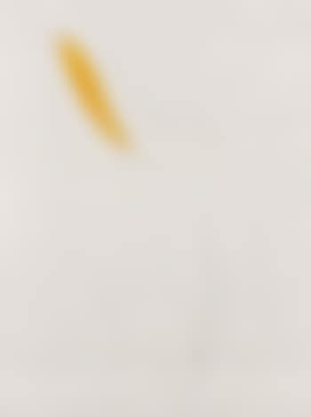 Yellow iris (preview)