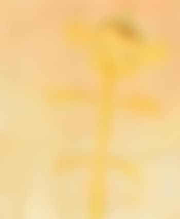 Geld baum (preview)