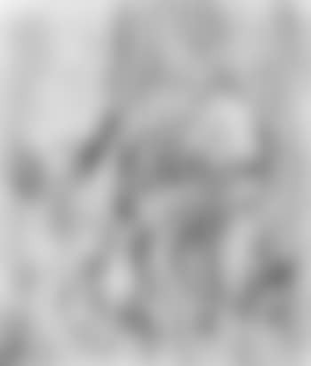 Nuture morte, compotier (preview)