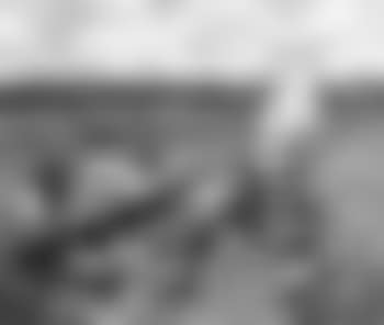 Wharf (preview)
