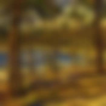 Wooded bay (preview)