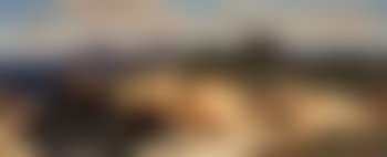 Coastline of the St Honorat Island (preview)
