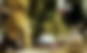 Highland picnic (preview)