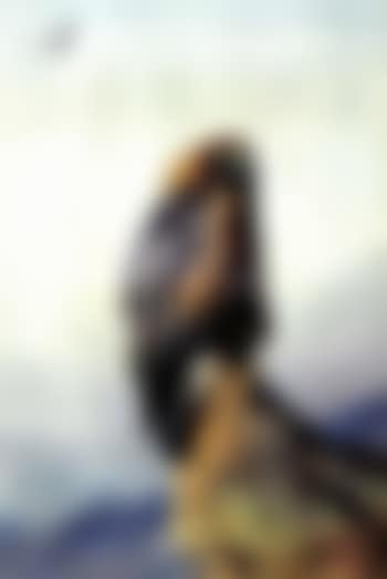Golden eagle (preview)