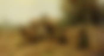 Harvest time (preview)
