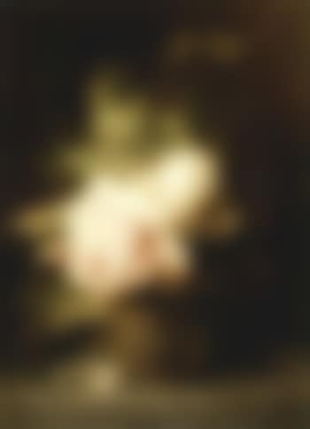 Pink roses (preview)