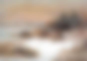 Partridge in the snow (preview)