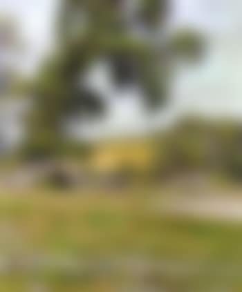 Landscape with distant tower (preview)