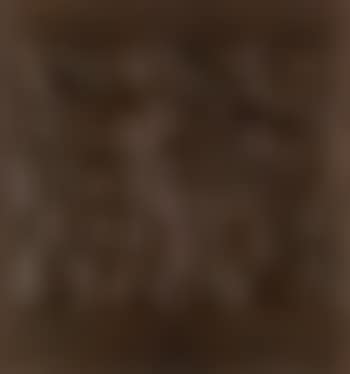 Musicians (preview)