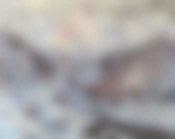 Winter landscape (preview)