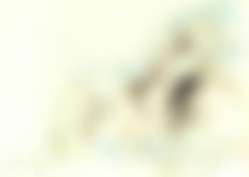 Le cheval (preview)