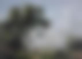 Figures near a cornfield, cathedral beyond (preview)
