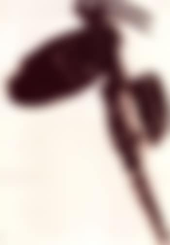 Actress (preview)