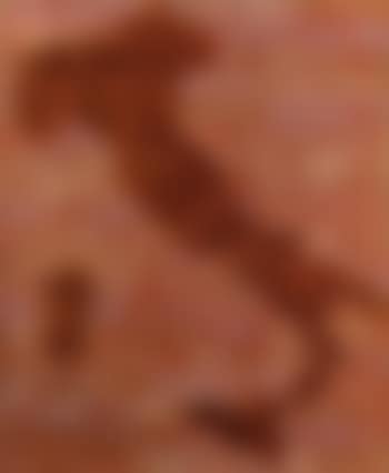 Fifty-seven Italian painters (preview)