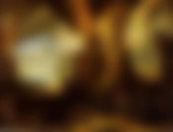 Enee et Anchise fuyant Troie (preview)