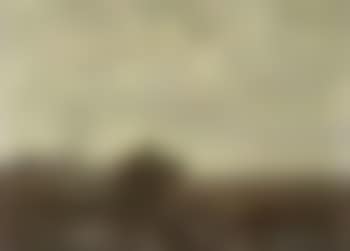 Horse drawn cart on a sand path (preview)