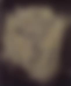 Untitled, man's head (preview)