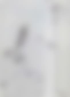 Brebis galante (preview)