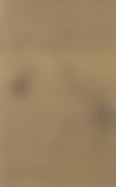 Female figure (preview)
