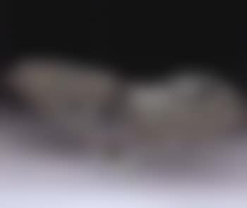 Tree (preview)