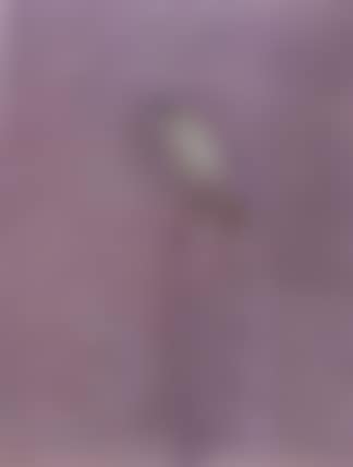 Hawk (preview)